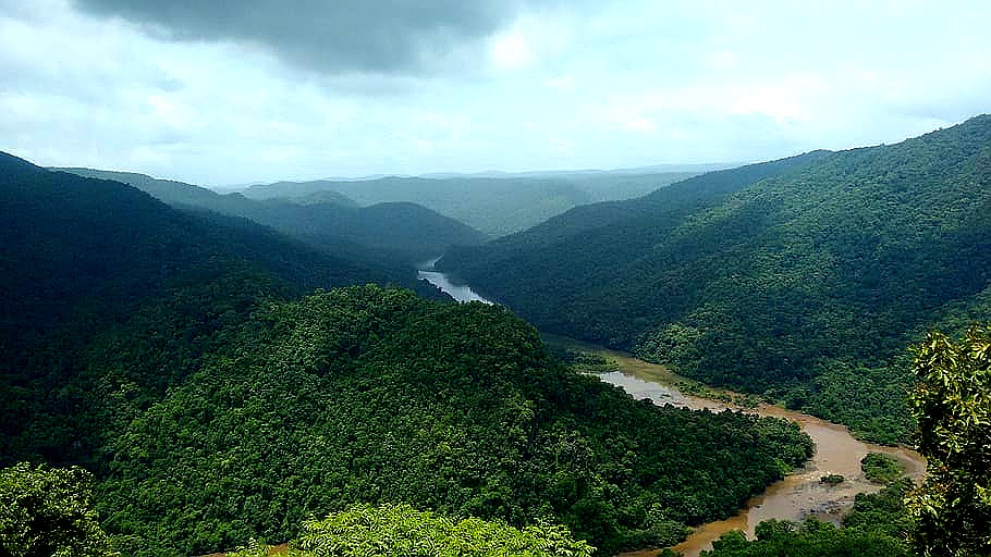 Nature View at Ansh Resort