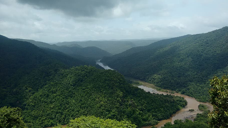 Nature View at Ansh Resort